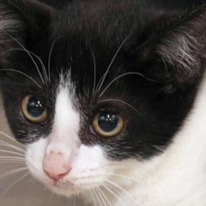 Meet your Posher, Selena